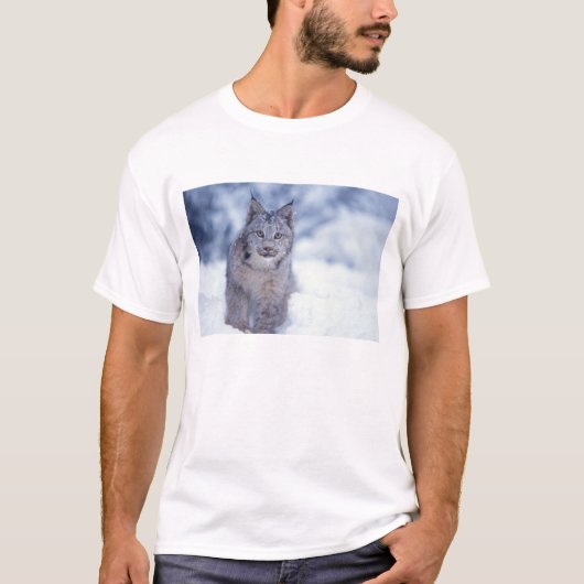 Luchs im Schnee im Vorland T-Shirt (Vorderseite)