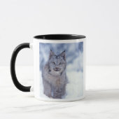 Luchs im Schnee im Vorland Tasse (Links)