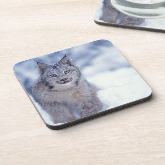 Luchs im Schnee im Vorland Untersetzer (Linke Seite)