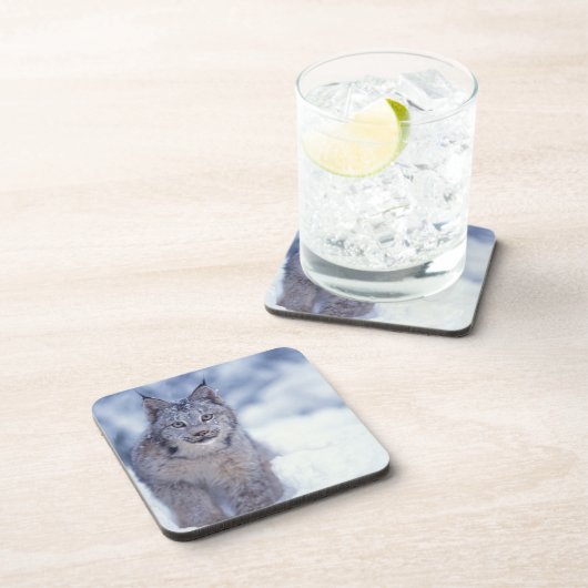 Luchs im Schnee im Vorland Untersetzer (Rechte Seite)