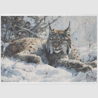 Luchs im Schneedeckchen Seidenpapier
