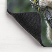 Luchs-kleines Kätzchen Kanadas Mousepad (Ecke)