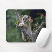 Luchs-kleines Kätzchen Kanadas Mousepad (Mit Mouse)