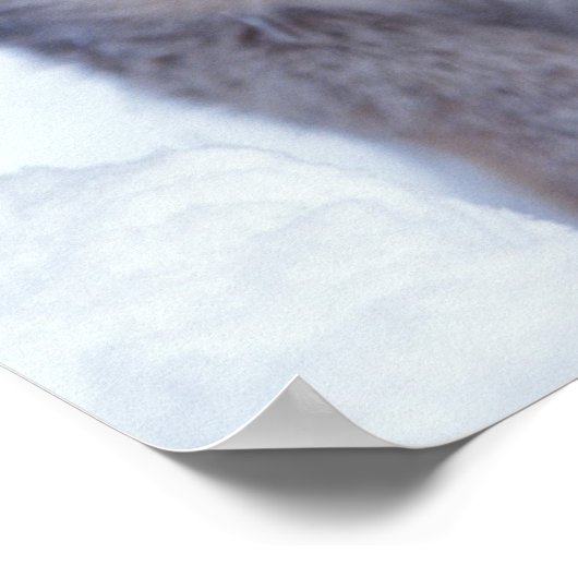 Luchs, Luchs Luchs, im Schnee in den Ausläufern Poster (Ecke)