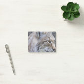 Luchs Post-it Klebezettel (Büro)