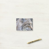 Luchs Post-it Klebezettel (Auf Schreibtisch)