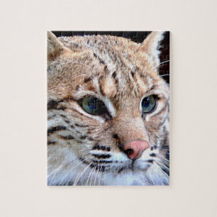 Luchs-Puzzle Puzzle