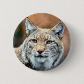 Luchs-Rotluchs-Tier-Fleischfresser-Katze Button (Vorderseite)