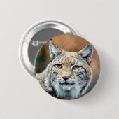 Luchs-Rotluchs-Tier-Fleischfresser-Katze Button (Vorne & Hinten)