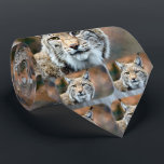 Luchs-Rotluchs-Tier-Fleischfresser-Katze Krawatte<br><div class="desc">Der Luchs,  auch genannt Bobcat,  ist ein Tierfleischfresser.  Draußen lebend,  ist diese katzenartige Katze in der Natur wild.  frontiernow.com</div>
