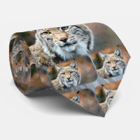 Luchs-Rotluchs-Tier-Fleischfresser-Katze