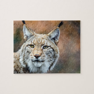 Luchs-Rotluchs-Tier-Fleischfresser-Katze Puzzle