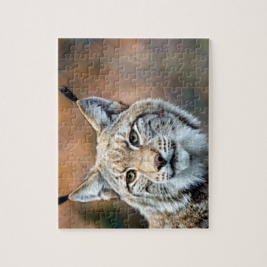 Luchs-Rotluchs-Tier-Fleischfresser-Katze Puzzle (Vertikal)