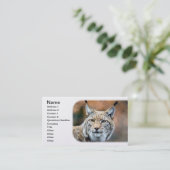 Luchs-Rotluchs-Tier-Fleischfresser-Katze Visitenkarte (Stehend Vorderseite)