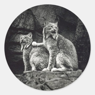 Luchs Runder Aufkleber