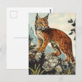 Luchs vintage postkarte (Vorne/Hinten)