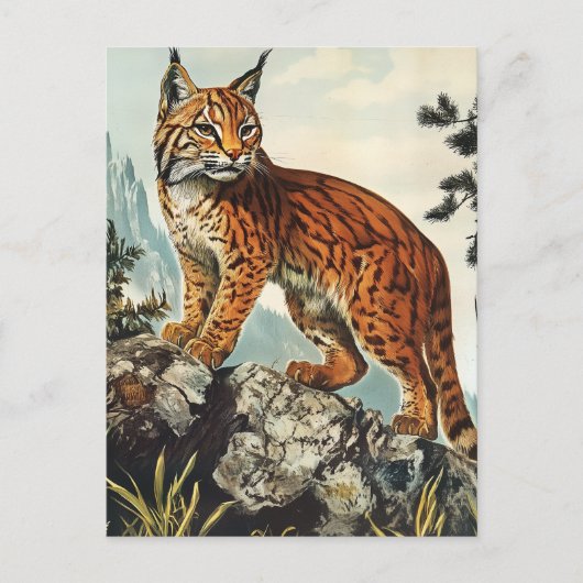 Luchs vintage postkarte (Vorderseite)