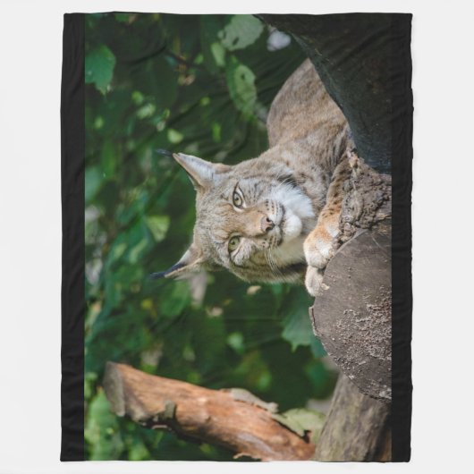 Luchs-Wildkatze auf Fleece-Decke Fleecedecke (Vorderseite)