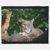 Luchs-Wildkatze auf Fleece-Decke Fleecedecke (Vorderseite (Horizontal))