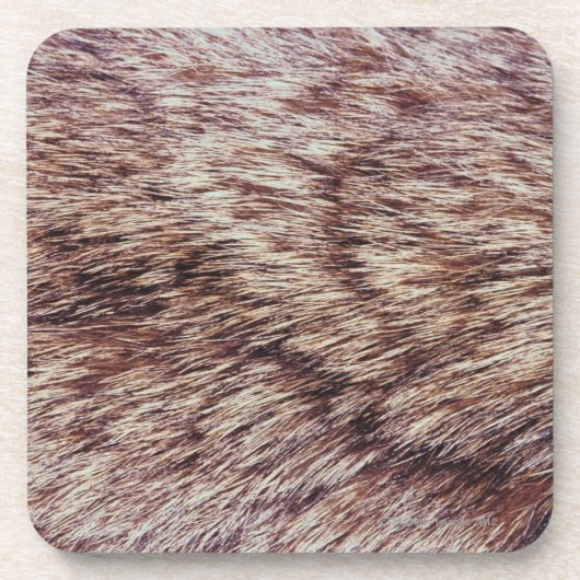 Luchspelz Getränkeuntersetzer (Vorderseite)