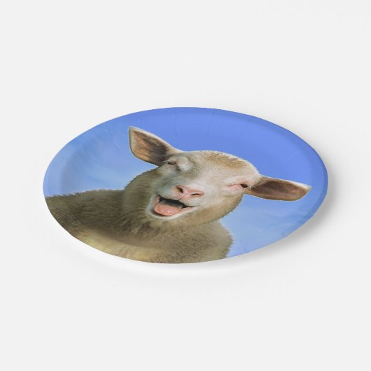 Lucie das Schaf Pappteller (Schrägansicht)