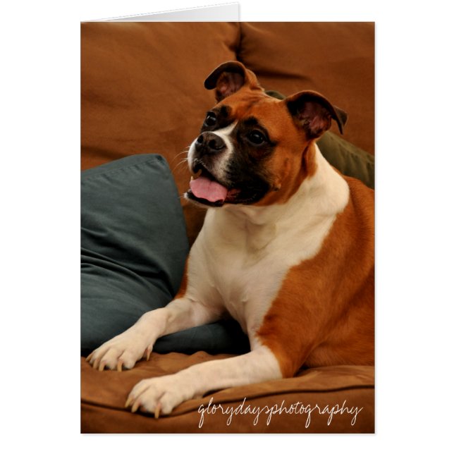 Lucie Monroe (Vorne)