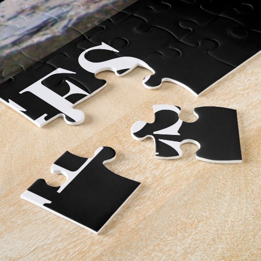 LUCIFER FALLS ITHACA NEW YORK PUZZLE (Seite)