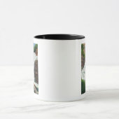 Lucifer Falls View in Robert H. Treman Staat Tasse (Zentrum)