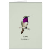 Lucifer Hummingbird Happy Birthday Card (Vorne)