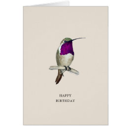 Lucifer Hummingbird Happy Birthday Card