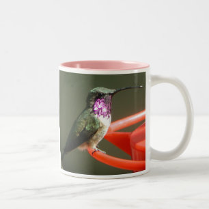 Lucifer Kolibri-Tasse, recht-behandelt Zweifarbige Tasse