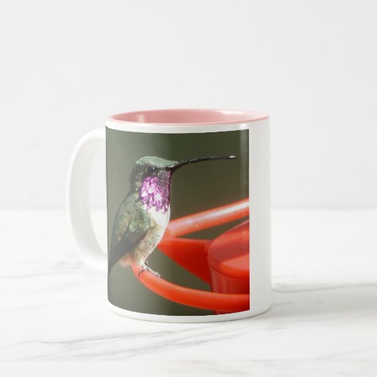 Lucifer Kolibri-Tasse, verlassene-behandelt Zweifarbige Tasse (Vorderseite Links)