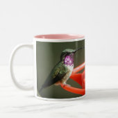 Lucifer Kolibri-Tasse, verlassene-behandelt Zweifarbige Tasse (Links)