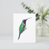 Luciferkolibri Postkarte (Stehend Vorderseite)
