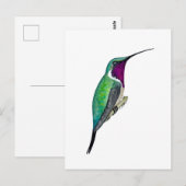 Luciferkolibri Postkarte (Vorne/Hinten)