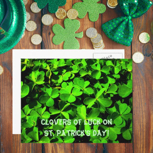 LuckClovers am St. Patrick's Day Postkarte