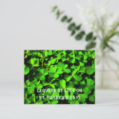 LuckClovers am St. Patrick's Day Postkarte (Stehend Vorderseite)
