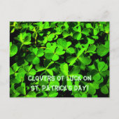 LuckClovers am St. Patrick's Day Postkarte (Vorderseite)