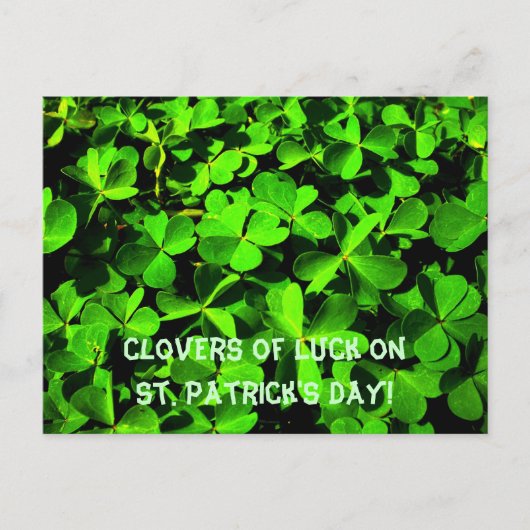 LuckClovers am St. Patrick's Day Postkarte (Vorderseite)