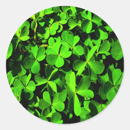 LuckClovers am St. Patrick's Day Runder Aufkleber (Vorderseite)
