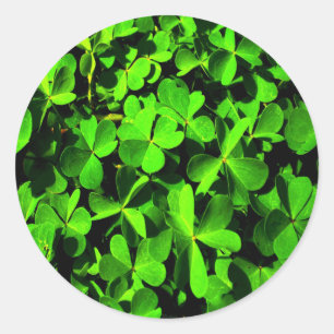 LuckClovers am St. Patrick's Day Runder Aufkleber