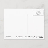 Lücke von Dunloe, Killarney, Kerry, Irland Postkar Postkarte (Rückseite)