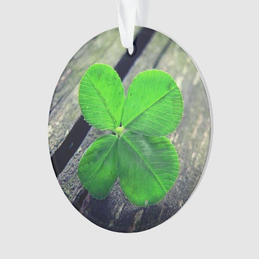 Lucky 4 Blatt Klee Ornament (Vorderseite)