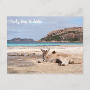 Lucky Bay Beach Kangaroo, Australien Postcard Postkarte