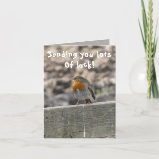 Lucky Bird Poo Viel Glück Card Karte
