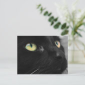 Lucky Black Cat Postkarte (Stehend Vorderseite)