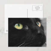 Lucky Black Cat Postkarte (Vorne/Hinten)