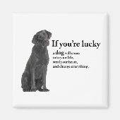 Lucky Black Lab Magnet (Vorne)