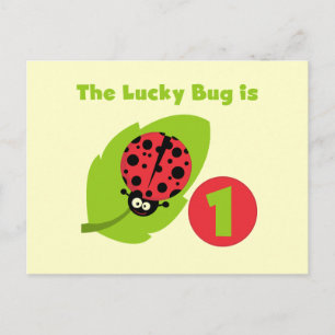 Lucky Bug 1. Geburtstag T - Shirt und Geschenke Postkarte