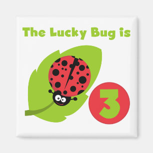 Lucky Bug 3. Geburtstag T Shirts und Geschenke Magnet